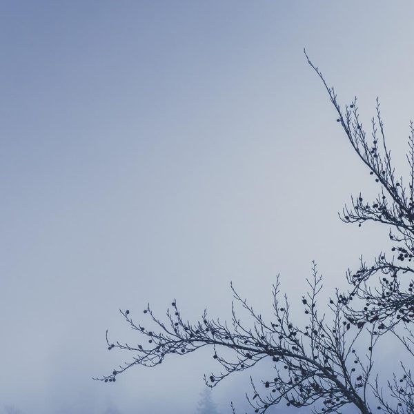 Achtsamkeitsfotografie